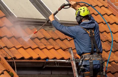 Démoussage et hydrofuge de toiture à Erbajolo